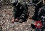 Image of Vietnam War Vietnam, 1967, second 8 stock footage video 65675078515