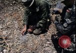 Image of Vietnam War Vietnam, 1967, second 9 stock footage video 65675078515