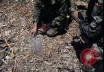 Image of Vietnam War Vietnam, 1967, second 11 stock footage video 65675078515