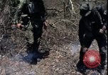 Image of Vietnam War Vietnam, 1967, second 12 stock footage video 65675078515