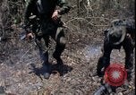 Image of Vietnam War Vietnam, 1967, second 13 stock footage video 65675078515