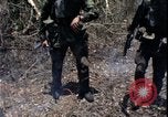 Image of Vietnam War Vietnam, 1967, second 14 stock footage video 65675078515
