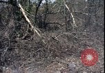 Image of Vietnam War Vietnam, 1967, second 20 stock footage video 65675078515