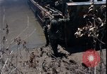 Image of Vietnam War Vietnam, 1967, second 32 stock footage video 65675078515
