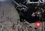 Image of Vietnam War Vietnam, 1967, second 37 stock footage video 65675078515