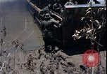 Image of Vietnam War Vietnam, 1967, second 38 stock footage video 65675078515