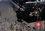Image of Vietnam War Vietnam, 1967, second 41 stock footage video 65675078515