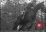 Image of Hill-and-Dale Chase Chester Pennsylvania USA, 1931, second 13 stock footage video 65675078524