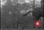 Image of Hill-and-Dale Chase Chester Pennsylvania USA, 1931, second 15 stock footage video 65675078524