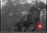 Image of Hill-and-Dale Chase Chester Pennsylvania USA, 1931, second 17 stock footage video 65675078524