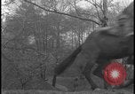 Image of Hill-and-Dale Chase Chester Pennsylvania USA, 1931, second 19 stock footage video 65675078524