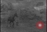 Image of Hill-and-Dale Chase Chester Pennsylvania USA, 1931, second 38 stock footage video 65675078524