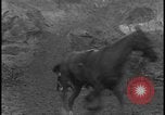 Image of Hill-and-Dale Chase Chester Pennsylvania USA, 1931, second 39 stock footage video 65675078524