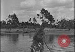 Image of primitive lifestyle Fort Myers Florida USA, 1931, second 19 stock footage video 65675078527