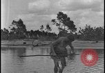 Image of primitive lifestyle Fort Myers Florida USA, 1931, second 22 stock footage video 65675078527