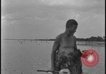 Image of primitive lifestyle Fort Myers Florida USA, 1931, second 33 stock footage video 65675078527