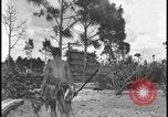 Image of primitive lifestyle Fort Myers Florida USA, 1931, second 38 stock footage video 65675078527