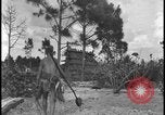 Image of primitive lifestyle Fort Myers Florida USA, 1931, second 39 stock footage video 65675078527
