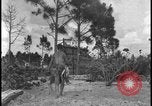 Image of primitive lifestyle Fort Myers Florida USA, 1931, second 41 stock footage video 65675078527