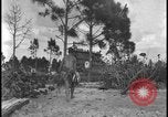 Image of primitive lifestyle Fort Myers Florida USA, 1931, second 42 stock footage video 65675078527