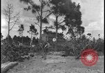 Image of primitive lifestyle Fort Myers Florida USA, 1931, second 43 stock footage video 65675078527