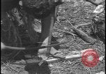 Image of primitive lifestyle Fort Myers Florida USA, 1931, second 51 stock footage video 65675078527