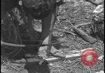 Image of primitive lifestyle Fort Myers Florida USA, 1931, second 52 stock footage video 65675078527