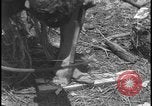 Image of primitive lifestyle Fort Myers Florida USA, 1931, second 53 stock footage video 65675078527