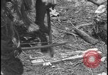 Image of primitive lifestyle Fort Myers Florida USA, 1931, second 54 stock footage video 65675078527