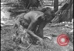 Image of primitive lifestyle Fort Myers Florida USA, 1931, second 56 stock footage video 65675078527