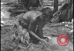 Image of primitive lifestyle Fort Myers Florida USA, 1931, second 57 stock footage video 65675078527