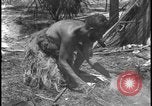 Image of primitive lifestyle Fort Myers Florida USA, 1931, second 59 stock footage video 65675078527