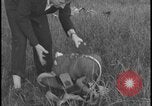 Image of plane crash United States USA, 1938, second 50 stock footage video 65675078531