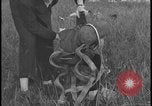 Image of plane crash United States USA, 1938, second 53 stock footage video 65675078531