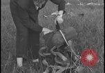 Image of plane crash United States USA, 1938, second 54 stock footage video 65675078531