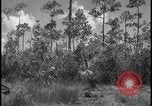 Image of Miami Dade Princeton Florida, 1938, second 32 stock footage video 65675078532