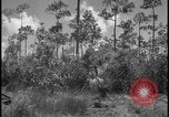 Image of Miami Dade Princeton Florida, 1938, second 33 stock footage video 65675078532