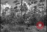 Image of Miami Dade Princeton Florida, 1938, second 34 stock footage video 65675078532