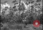 Image of Miami Dade Princeton Florida, 1938, second 36 stock footage video 65675078532