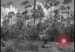 Image of Miami Dade Princeton Florida, 1938, second 39 stock footage video 65675078532