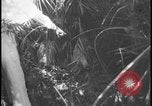Image of Miami Dade Princeton Florida, 1938, second 42 stock footage video 65675078532