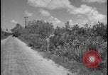 Image of Miami Dade Princeton Florida, 1938, second 44 stock footage video 65675078532