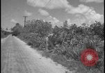 Image of Miami Dade Princeton Florida, 1938, second 45 stock footage video 65675078532