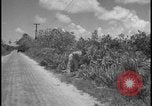 Image of Miami Dade Princeton Florida, 1938, second 46 stock footage video 65675078532