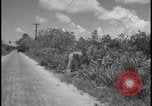 Image of Miami Dade Princeton Florida, 1938, second 47 stock footage video 65675078532