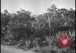 Image of Miami Dade Princeton Florida, 1938, second 57 stock footage video 65675078532