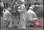 Image concours de traite Washington DC USA, 1938, de la seconde 17 séquences d'archives historiques vidéo 65675078538