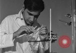 Image of Middle East Middle East, 1962, second 61 stock footage video 65675078542