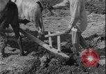 Image of plowing Greece farm Greece, 1962, second 10 stock footage video 65675078543