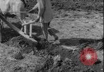 Image of plowing Greece farm Greece, 1962, second 12 stock footage video 65675078543